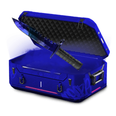 ⚪ 74% Witta Case ⚪