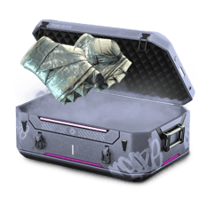 thatonegloveshomiecase