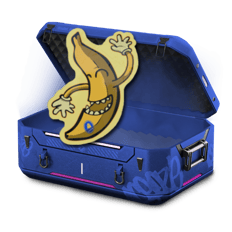 67 CASE