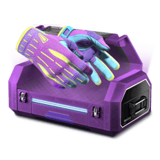 💜Amethyst Case💜
