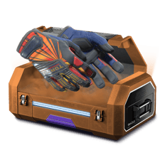 CS 1.6 Memories Case OG
