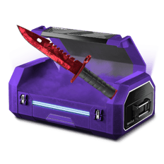 1 BAYONET FARM