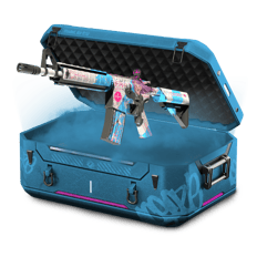 CaseCase