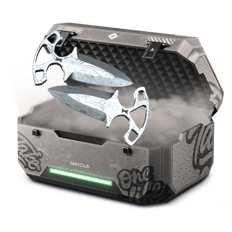Cheap case for battle