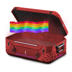 BIRTHDAY CASE