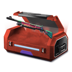 The lucky shotgun box