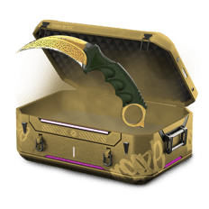 1% Karambit lore ❗