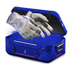 20% Gloves