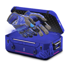 10% Gloves