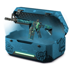 SILK IN THE SONG CASE