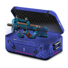 Decent Cheap FN