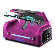 Box Box