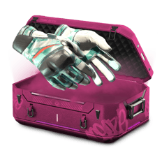 DETRI2K GLOVE FARM