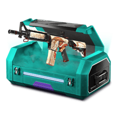 60% New Skins