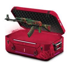 40% Donk case