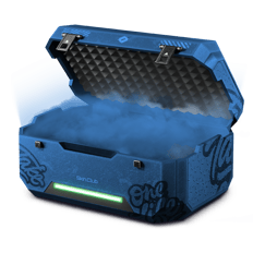 Holy Shroud