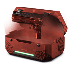 25% Pistol Case