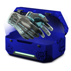 Sayuki Gloves
