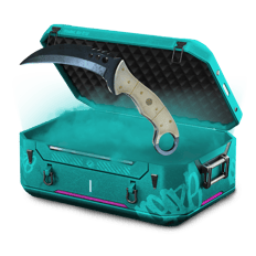 Dream knife case