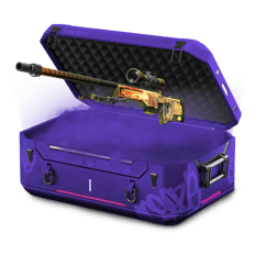 Dragon’s Fortune Case