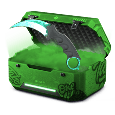 Love Skins CASE