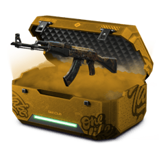 THXNH BTL CASE