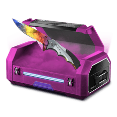 Sparkles 10% Knife Case
