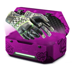 20% Glove Case