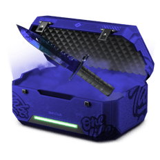 5% Blue Loadout