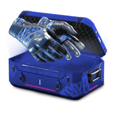 5% Glove Case - 2.75% Big