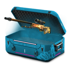 20%/4  Shared Battle case