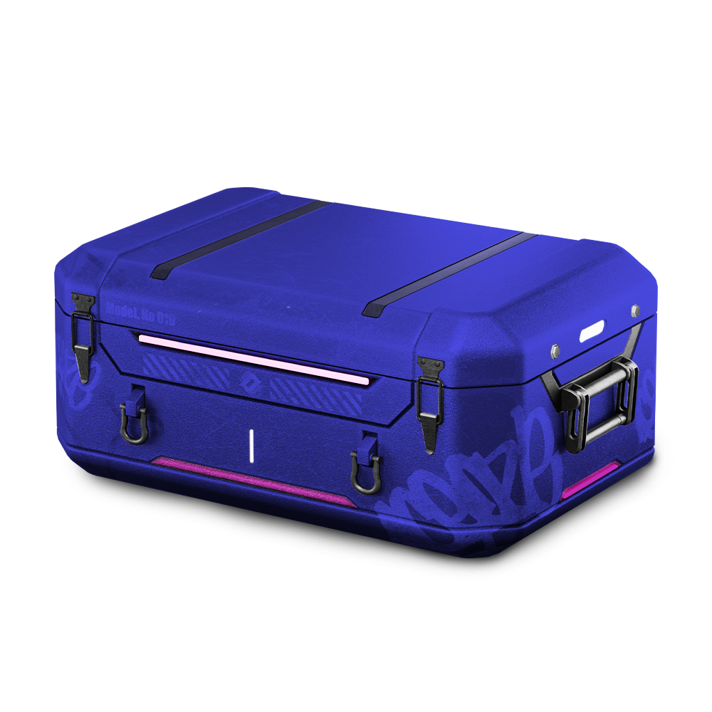 case
