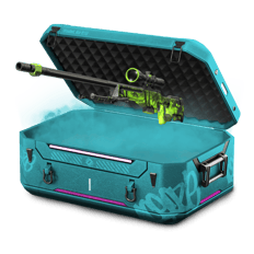100% awp