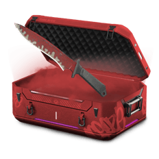 My cases are cursed