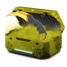 🍀KNiFE XP FARM🍀PLS❤️