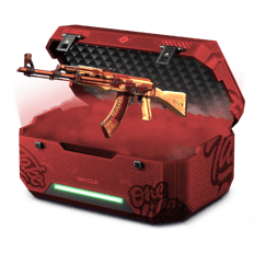 10% NGOOS'S AK (New)