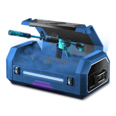 100% M4A1 CASE