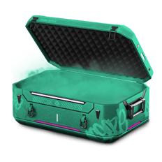 PvP CASE