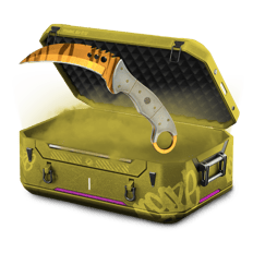 Knifecase100