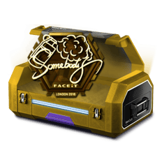 T3a| Gold gold Sticker