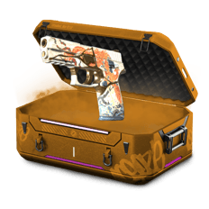 2v2 Case BATTLE