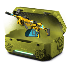Negev case