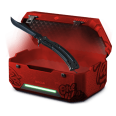 Bubberin0 CS2 case