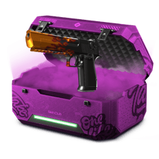 pistol case