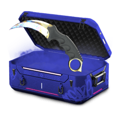 p3x case