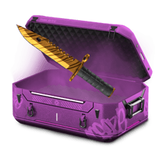MIGICHIKU CASE KAI