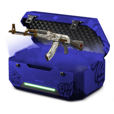 BoiBoi's case