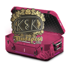 Mini Case BTNN 3
