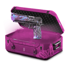 10% Battle Case