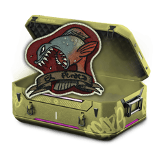patch2v2